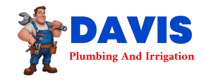 Trusted plumber in DUMAS